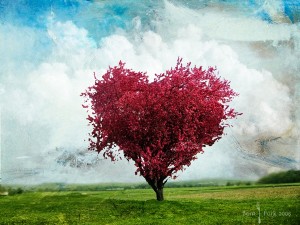 lovetree